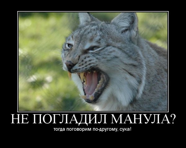 Ты там сдох?