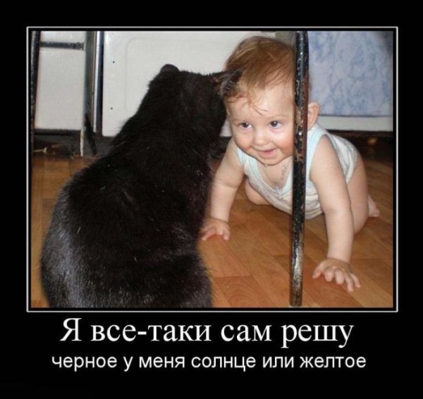 Черный юмор про детей