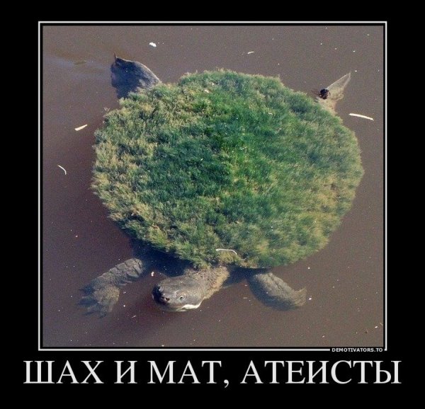 Шутки про плоскую землю