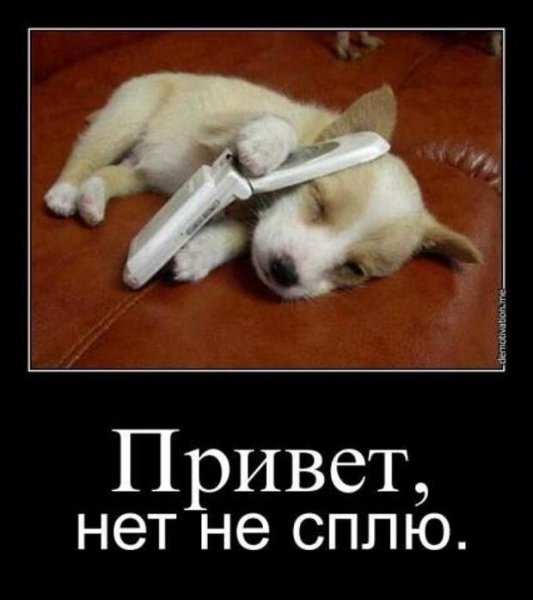 Не спишь картинки прикольные