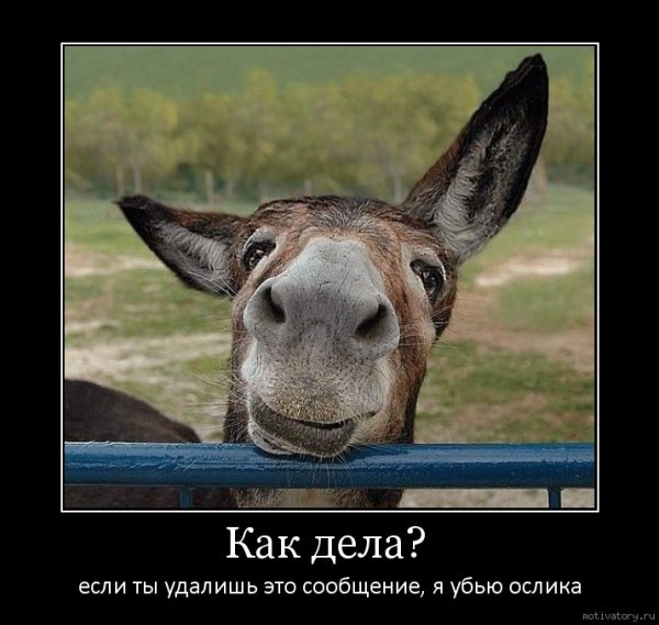 Как дела картинки