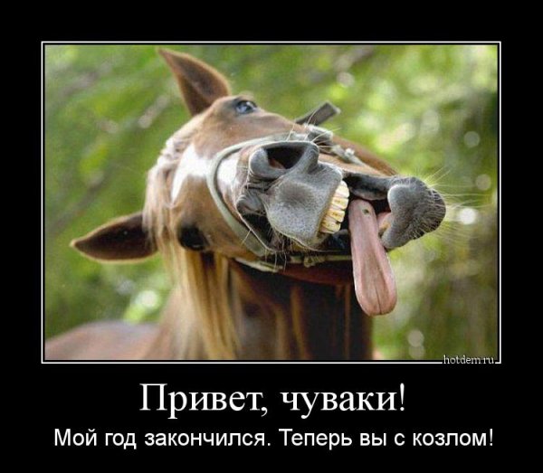 Демотиваторы смешные привет