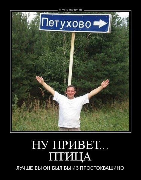 Прикольные демотиваторы привет