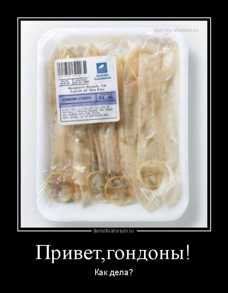 Прикольные демотиваторы привет