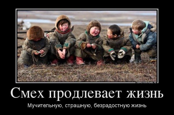 Демотиваторы смех