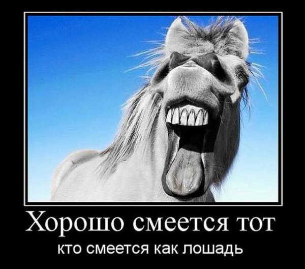 Демотиваторы смех