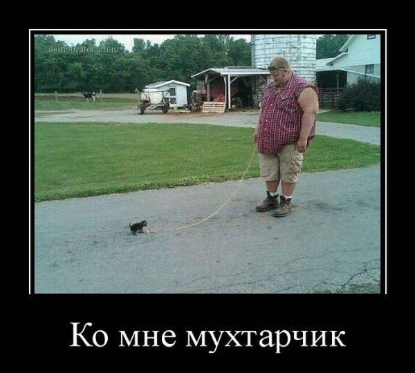 Смешно смеёмся демотиватор