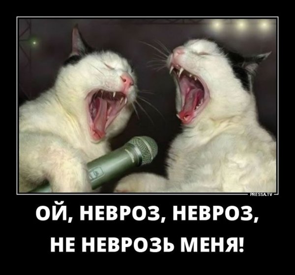 Демотиваторы позитивные смешные