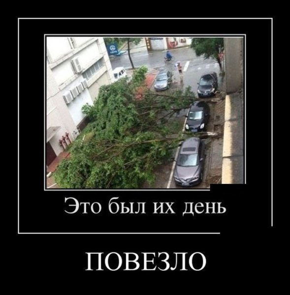 Демотиватор повезло