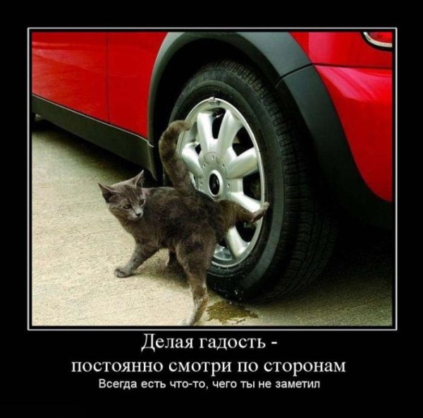 Демотиваторы на разные темы