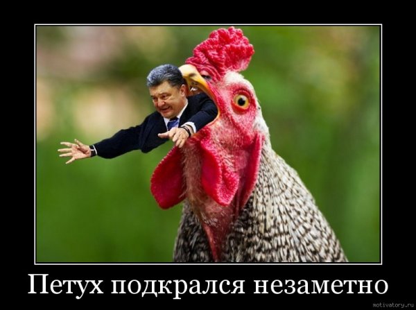 Петух демотиватор
