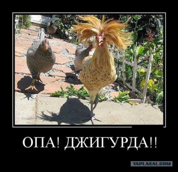 Надпись курица
