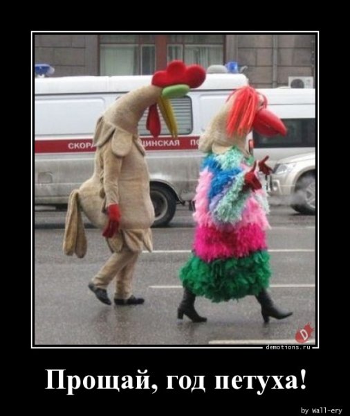 Петушок демотиватор