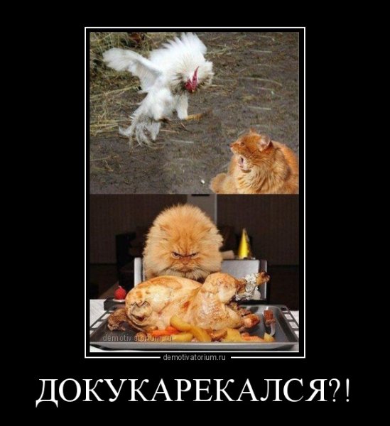 Петух докукарекался