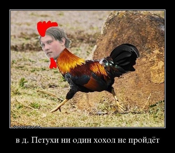 Демотиваторы про петухов