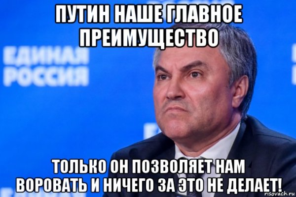 Вячеслав Володин Мем