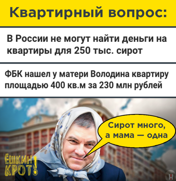 Мать Вячеслава Володина