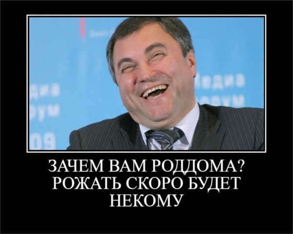 Депутаты.карикатуры на Володина