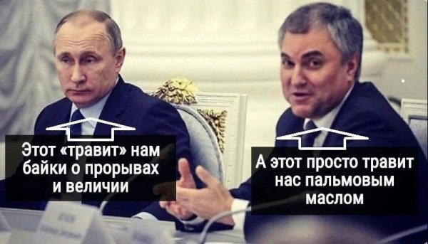 Володин пальмовое масло