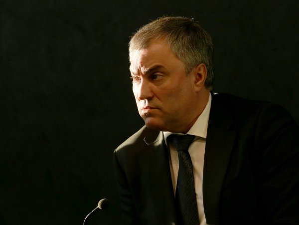 Володин председатель Госдумы
