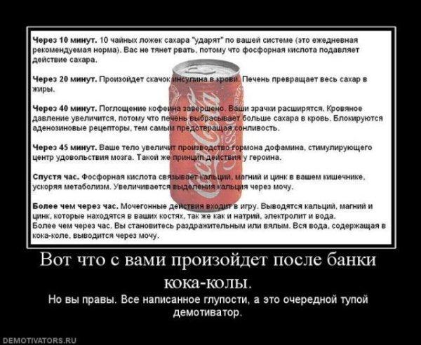 Глупый поступок демотиватор