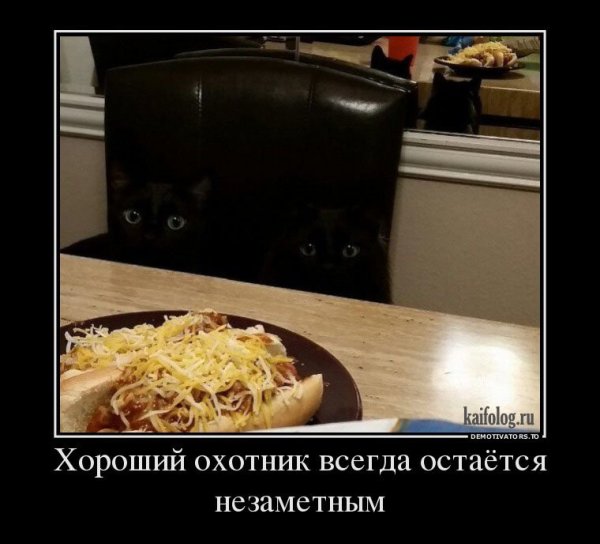 Демотиваторы приколы