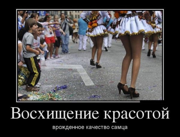 Смешно смеёмсядемотиватор