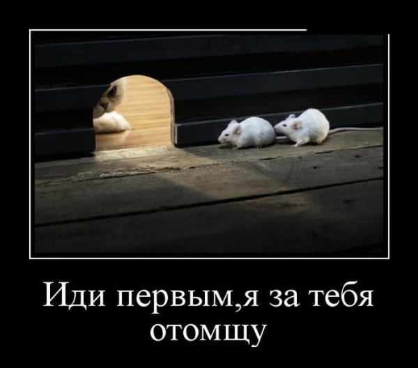 Мотиватор и демотиватор