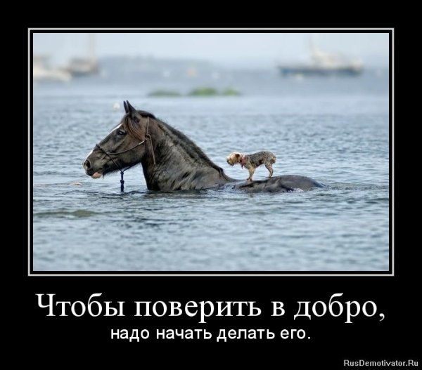 Самый лучший демотиватор