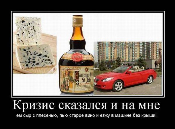 Вино старое сыр с плесенью машина без крыши