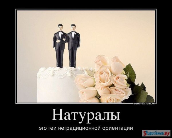 Шутки про геевскую любовь