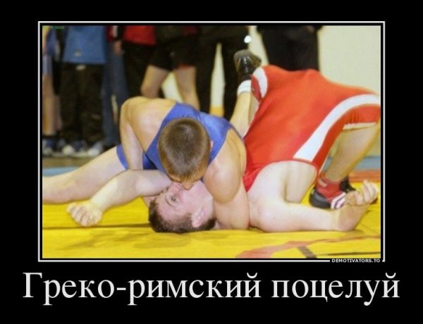 Демотиваторы про борцов