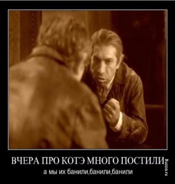 Шариков демотиватор