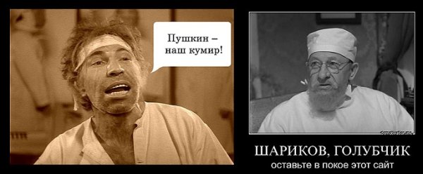 Шариков из собачьего сердца приколы
