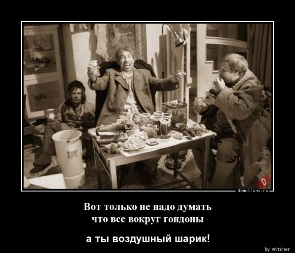 Шариков демотиватор