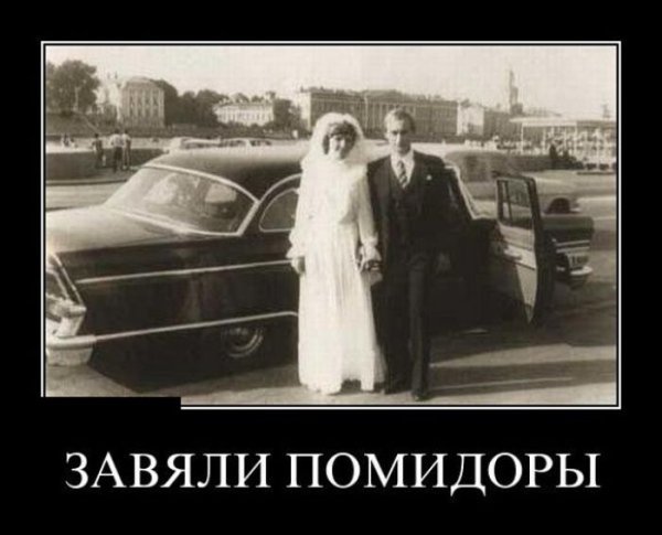 Развод демотиватор