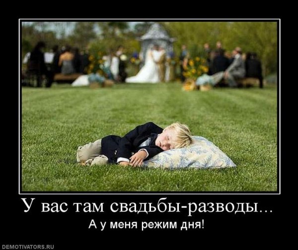 Свадебные приколы демотиваторы