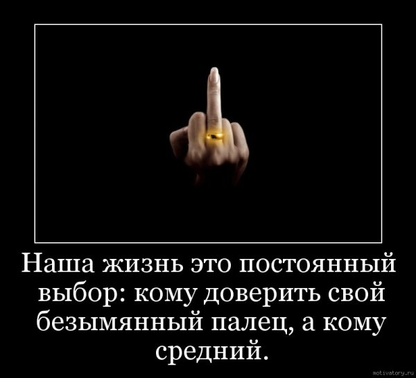 Демотиваторы средний палец