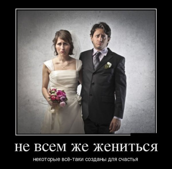 Развод демотиватор