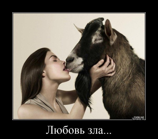 Любовь зла полюбишь