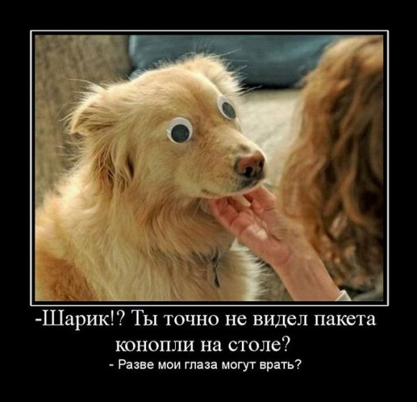 Кто геусрел, тот опоздал