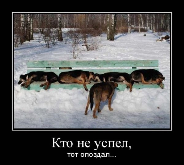 Смешные демотиваторы до слез