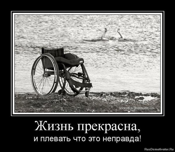 Жизнь прекрасна демотиваторы