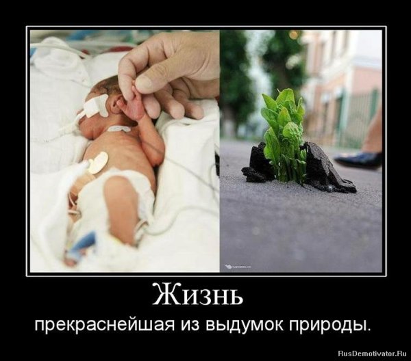 Демотиваторы про жизнь