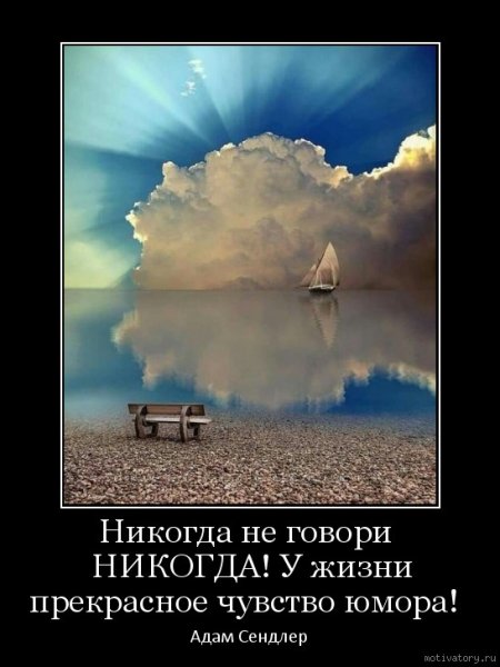 Никогда не говори никогда у жизни прекрасное чувство юмора
