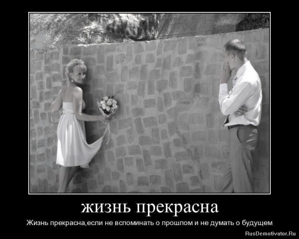 Жизнь прекрасна демотиваторы