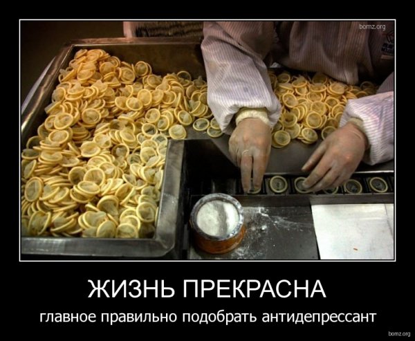 Пельмени демотиватор