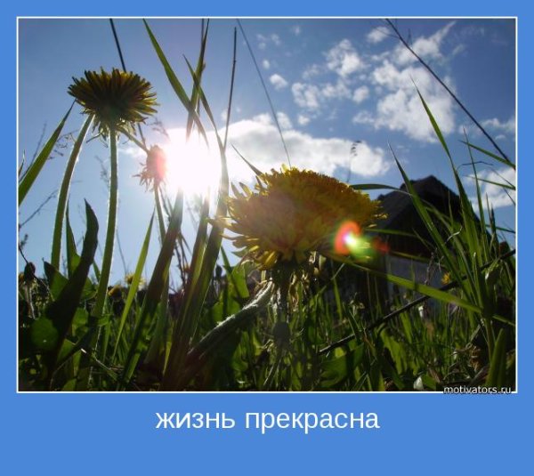 Жизнь прекрасна о жизни