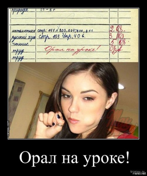 Саша грей приколы