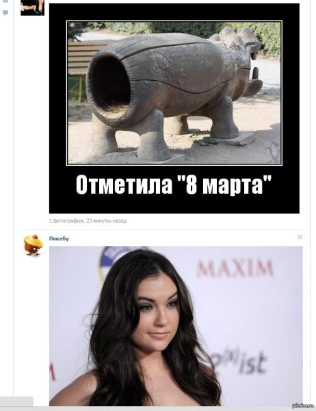 Саша грей приколы
